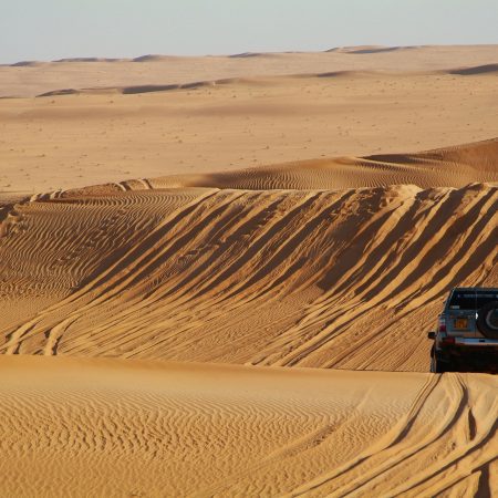 Los cinco primeros puestos de Tänak satisfacen a los jefes de m-sport ford